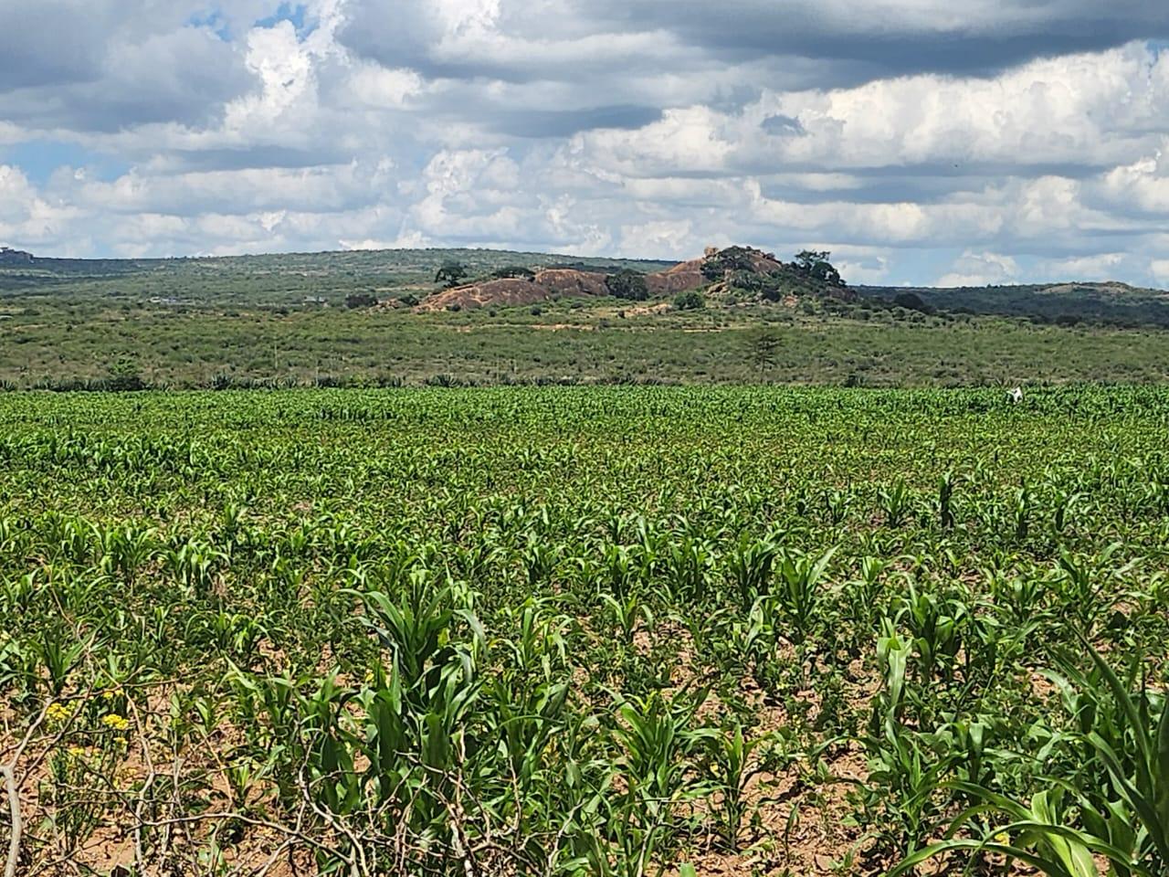 40 Acres Land - Additional View